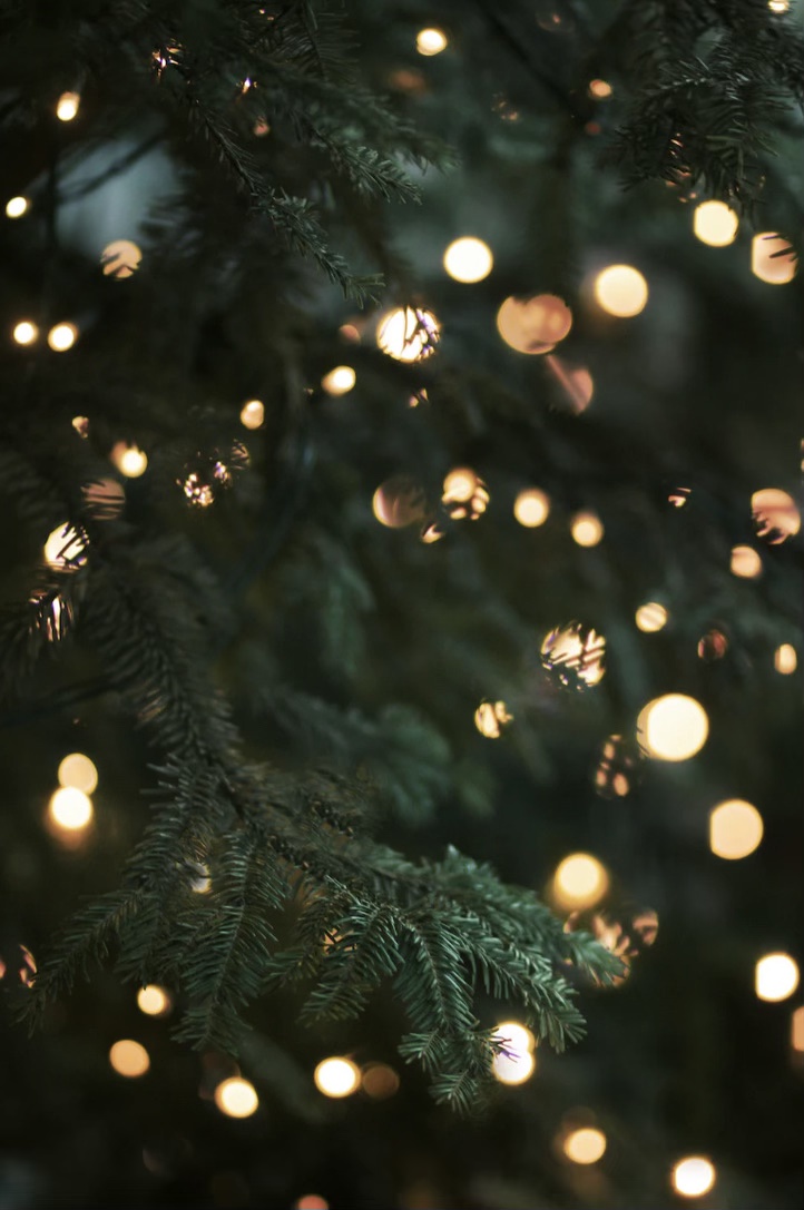 Snohomish County Christmas Lights&nbsp;Map