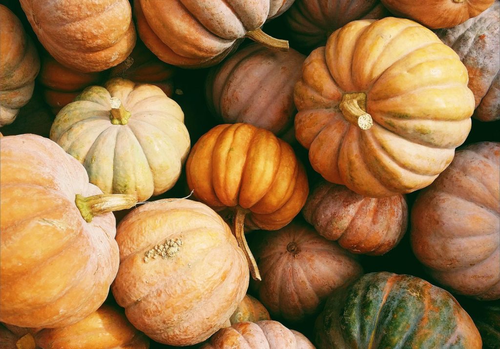 Snohomish County Fall Fun: Pumpkin Patch&nbsp;Edition
