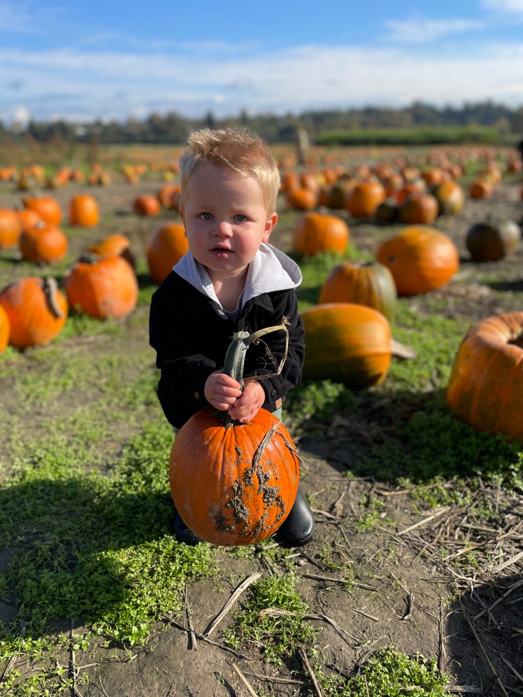 Snohomish County Fall Fun: Pumpkin Patch&nbsp;Edition